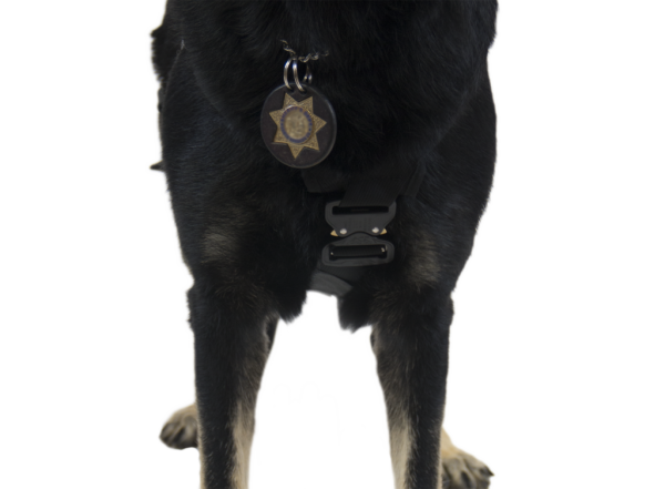 A black dog wearing a K9 PROSERIES® RAPPEL HARNESS with a star on it.