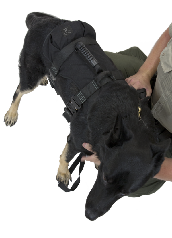A person is petting a black dog wearing a K9 PROSERIES® RAPPEL HARNESS.