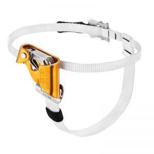 A white and orange harness with an orange buckle.