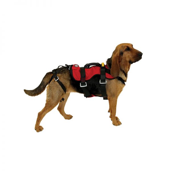 A dog wearing a HEAVY RESCUE ORGANIZER, ORG, CMC harness on a white background.
