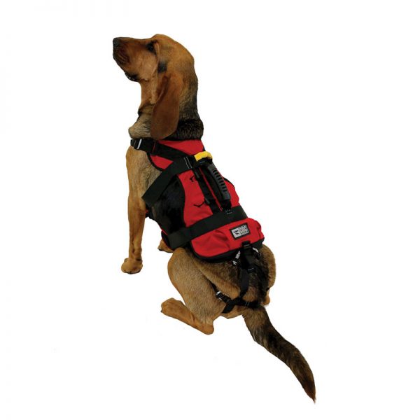 A dog wearing a HEAVY RESCUE ORGANIZER, ORG, CMC harness.