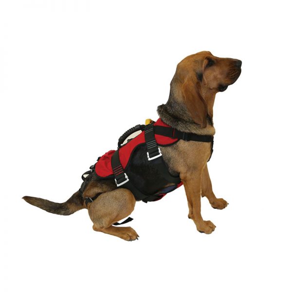 A dog wearing a HEAVY RESCUE ORGANIZER, ORG, CMC life jacket.