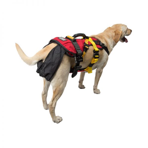A dog wearing a HEAVY RESCUE ORGANIZER on a white background.