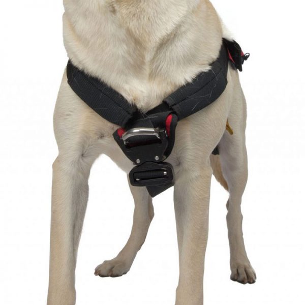 A dog wearing a HEAVY RESCUE ORGANIZER harness on a white background.