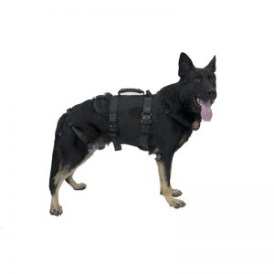 A black dog wearing a HEAVY RESCUE ORGANIZER on a white background.