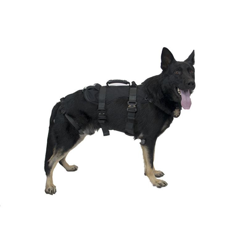 HARNESS, K9 PROSERIES RAPPEL, CMC - Rescue Systems
