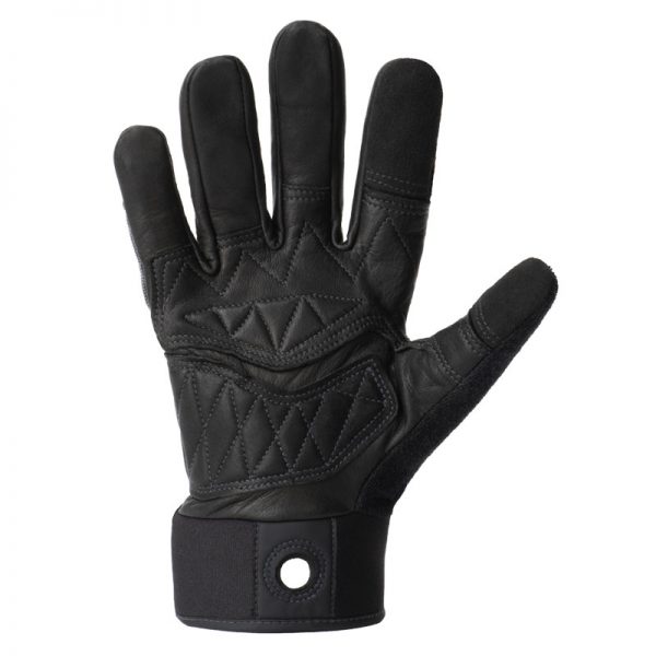 A pair of black leather gloves on a white background.