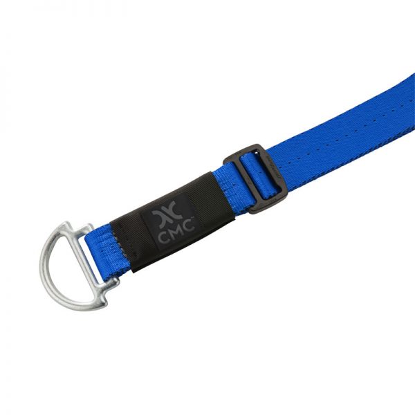 A blue dog collar with a black buckle.