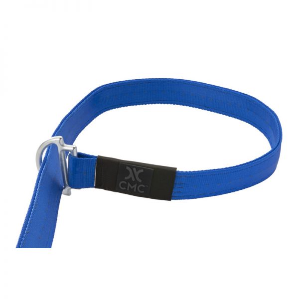 A blue dog leash with a metal buckle.