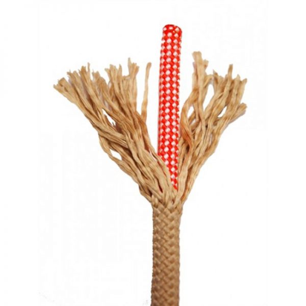 A twig with a red polka dot on it.
