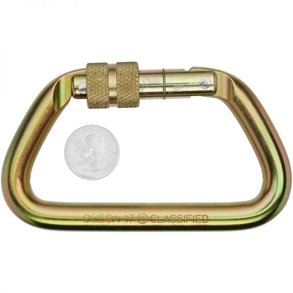 A Omega Standard D 1/2" Steel NFPA Screw-Lok Carabiner carabiner with a coin on it.