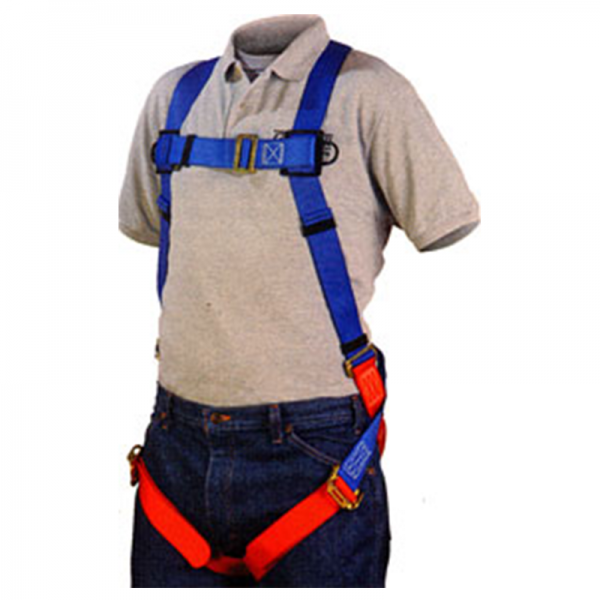 A man wearing a Harness, lightweight, polyester, back D-ring, friction buckle leg straps.