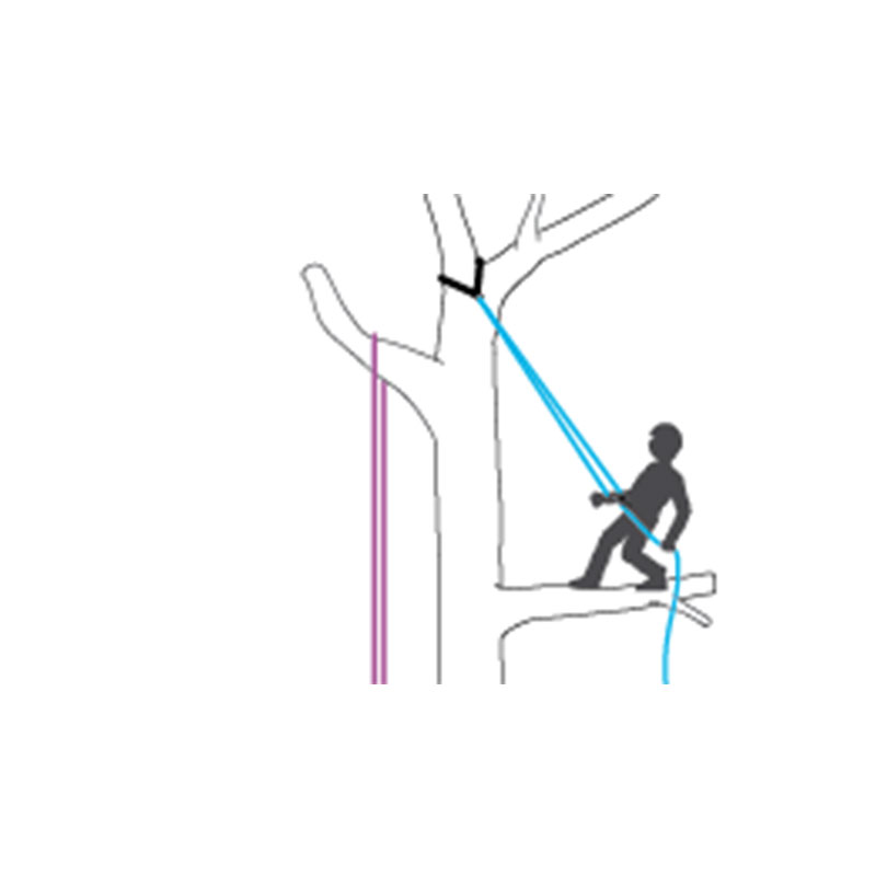 A person is climbing a tree with the Compatibility of the first-generation ZIGZAG with CHICANE and KNEE ASCENT.