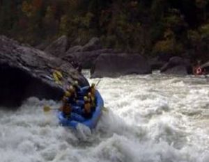 Group of people rafting a boat in river